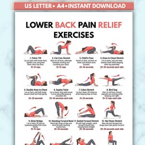 May include: A digital poster titled Lower Back Pain Relief Exercises featuring twelve numbered illustrations of a person in red clothing performing various stretches and movements with instructional text and repetition counts for each exercise.