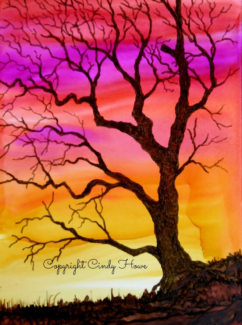 Gnarly Tree Stock Photos Gnarly Tree Stock Images Alamy