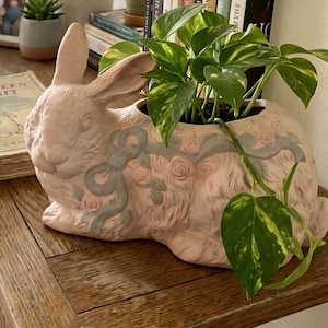 May include: A matte light pink ceramic planter shaped like a sitting rabbit, featuring embossed details of roses and a flowing ribbon in a muted sage green. A vibrant green pothos plant with variegated yellow leaves grows from the open top.