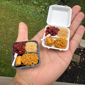 May include: Two miniature takeout containers, one black and one white, each holding a small portion of food including dark red glazed meat, light brown rice, golden brown spring rolls, and yellow noodles, accompanied by a tiny white plastic fork.