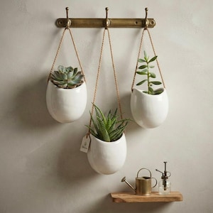 May include: Three white ceramic planters with rounded bases suspended by brown rope from a brass wall hook rack. Each planter holds a green succulent plant. A small brass watering can and a glass spray bottle sit on a wooden shelf below.