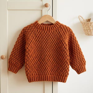 May include: A long-sleeved, rust-colored sweater featuring a textured, raised diamond knit pattern throughout the body and sleeves. The garment includes a ribbed crew neckline, ribbed cuffs, and a ribbed hem, all crafted in a matching solid yarn.