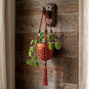 Puede incluir: Un colgador de plantas de macramé color terracota con un patrón de diamantes tejido, cuentas de madera oscura y una borla larga en la parte inferior. El colgador sostiene una maceta de terracota con una planta Pilea peperomioides verde.