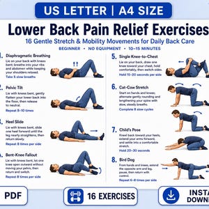 May include: An instructional chart titled Lower Back Pain Relief Exercises featuring 16 gentle stretch and mobility movements for daily back care. The document includes illustrations of a person in blue clothing performing eight specific exercises.