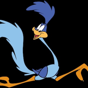 May include: A cartoon illustration of the Road Runner character featuring a long neck, a crest of blue feathers on its head, a large blue tail, and long orange legs with three-toed feet. The bird has a yellow beak and is shown in a running pose.