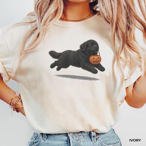 Halloween Newfoundland Dog T-Shirt, Black Newfie Pumpkin, Fall Comfort Colors Tee