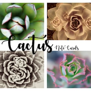 Carte note cactus