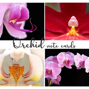 Cartes de note d’art de photographie de fleur d’orchidée