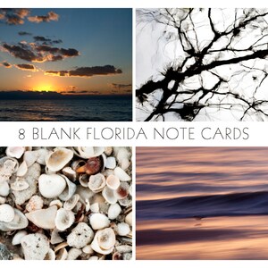 Puede incluir: Conjunto de 8 tarjetas de notas en blanco con imágenes de temática de Florida. Las imágenes incluyen una puesta de sol sobre el océano, un primer plano de conchas marinas, una silueta de una rama de árbol y una imagen borrosa del océano al atardecer.
