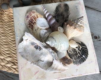 Seashell Art Painting/Coastal Art/Beach House Decor/Seashell Beach Art\Mixed Media Shell Art