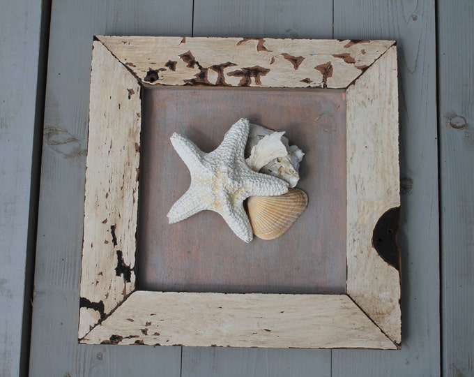 Framed Seashell Wall Art Etsy