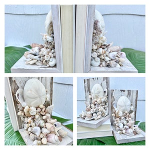 May include: A pair of white wooden bookends decorated with seashells, sand dollars, and starfish. The bookends are in the shape of a book and have a rustic, beachy feel.