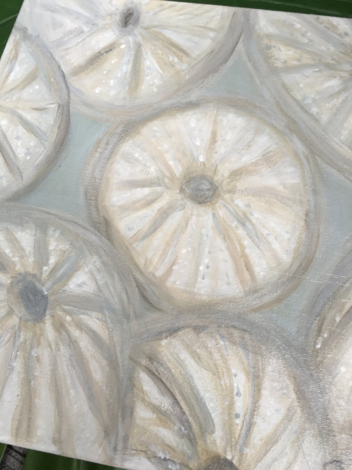 Sea Urchins Shell Painting/coastal Theme Original Etsy