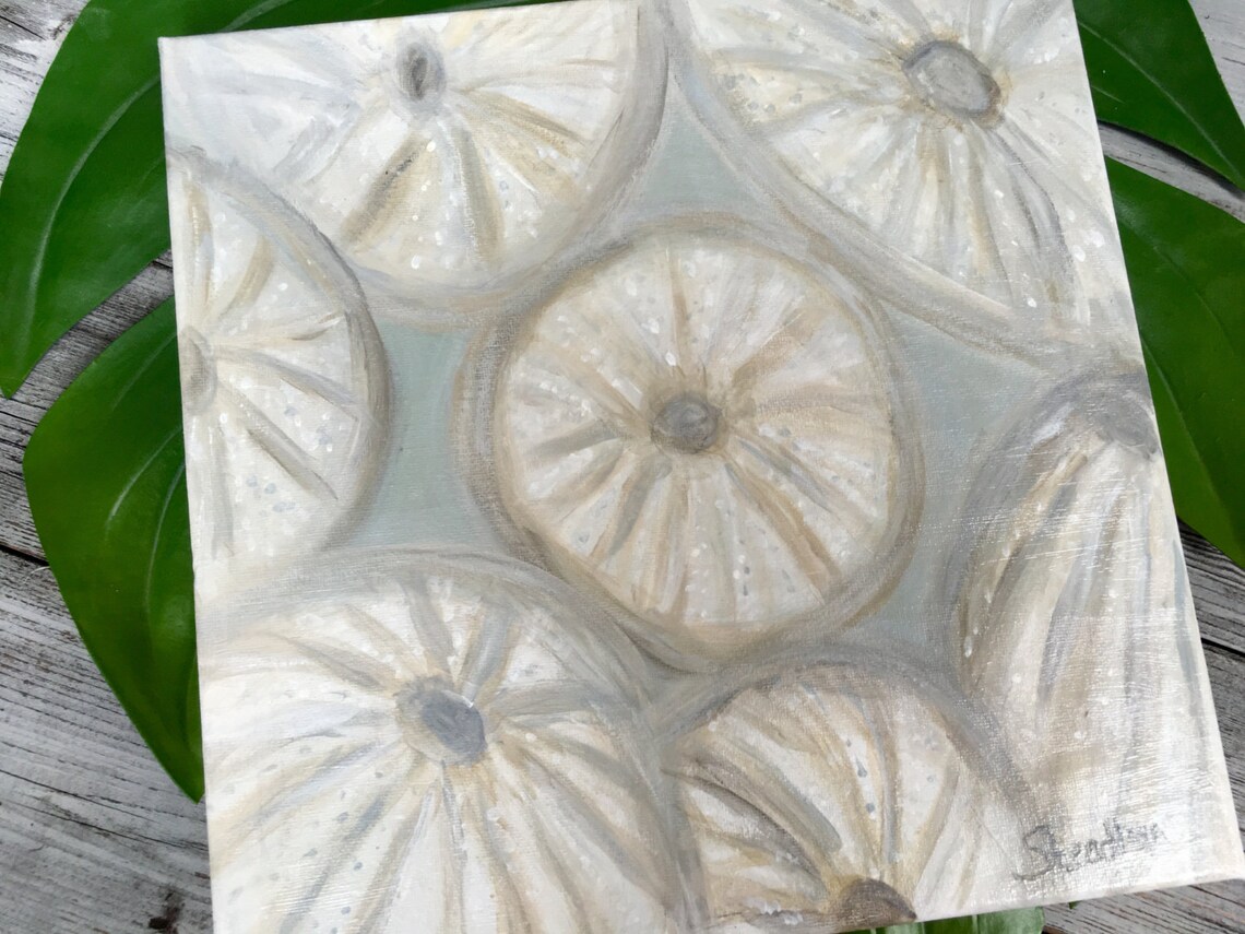 Sea Urchins Shell Painting/coastal Theme Original Etsy