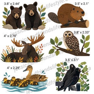 May include: A collection of six woodland animal illustrations including two bear cubs, a beaver on a log, a moose, an owl on a branch, a duck with ducklings in water, and two crows on a fence, with dimensions 9.65 x 6.20 cm, 8.89 x 5.33 cm, 10.16 x 7.06 cm, 9.65 x 5.92 cm, 10.16 x 5.82 cm, and 8.89 x 7.87 cm.