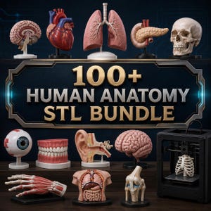 May include: A collection of 3D printed human anatomy models including a brain, heart, lungs, pancreas, skull, eye, teeth, ear, hand, torso, knee joint, and rib cage, with text reading 100+ HUMAN ANATOMY STL BUNDLE displayed on a dark background.