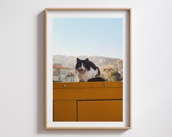 Street Cat of Istanbul Photography Print, Cat Art, Photography Print, Fine Wall Art, Turkish Decor