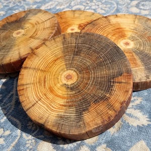 May include: A set of four circular wooden coasters, each featuring visible tree ring patterns with natural variations in color ranging from light tan to dark brown. The coasters have a smooth, flat surface and display the organic texture of wood grain.