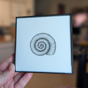 Snail Shell Illustration Original - Stippled Black & Gray Small 4x4in Framed