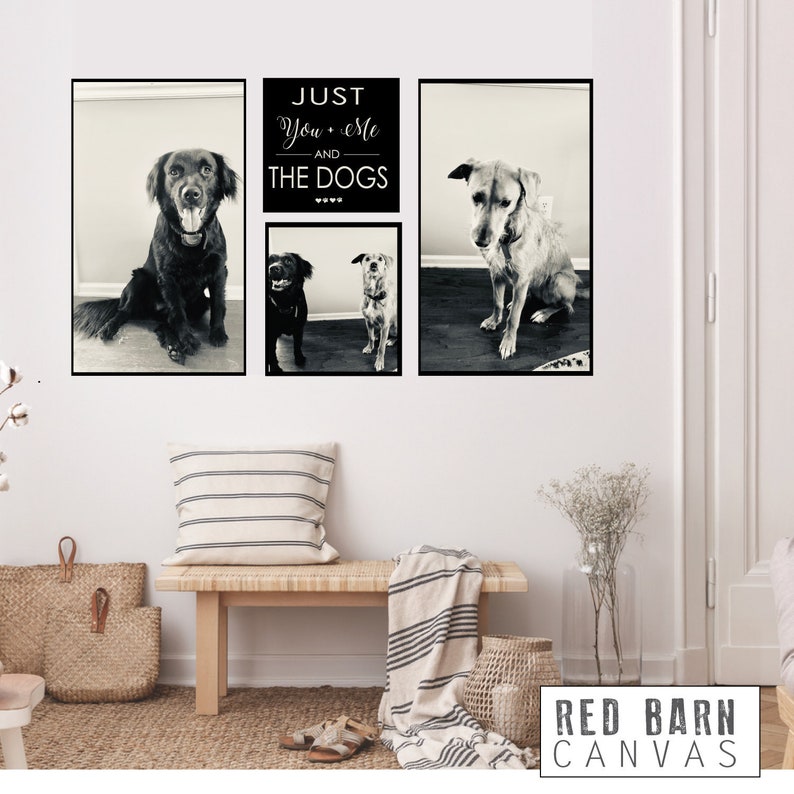 May include: Black and white photo collage featuring three dogs and the text "Just You + Me and The Dogs". The photos are framed in black and hung on a white wall.