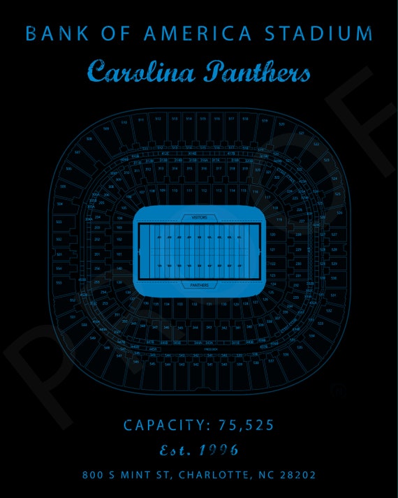 Panthers Seating Chart