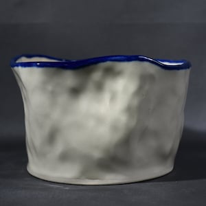 May include: White ceramic planter with a blue rim. The planter has a textured, organic shape.