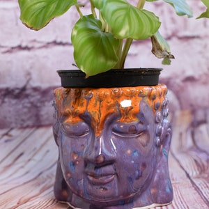 May include: A green plant with striped leaves growing in a purple and orange ceramic planter shaped like a Buddha's head.