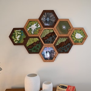 May include: A wall-mounted display consisting of eight interconnected hexagonal wooden frames. The frames contain various inserts, including two photographs, two resin-filled landscapes, and four sections featuring preserved green moss and dark bark textures.