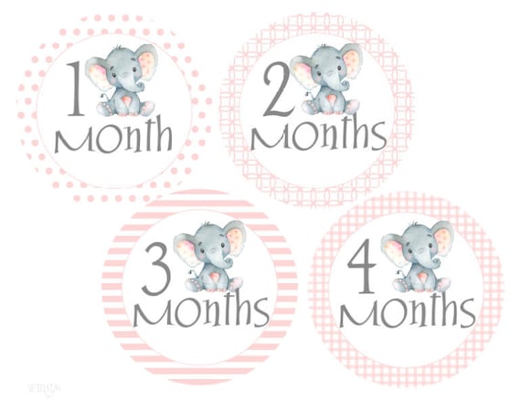6 Assembled Baby Closet Dividers in Grey Elephants Shower Gift Clothes Organizer