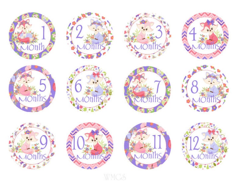 baby month stickers girl