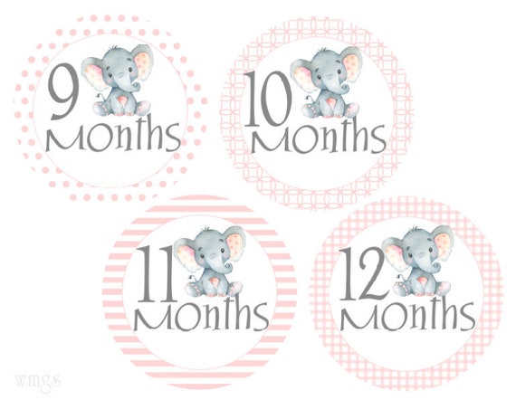 6 Assembled Baby Closet Dividers in Grey Elephants Shower Gift Clothes Organizer
