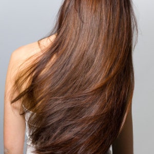 Long healthy hair young woman with chestnut highlights and shiny, thick hair