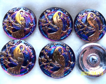 Reduced Czech Glass Buttons  6pcs    GORGEOUS     22mm  Peacock  Volcano . 24 K Gold  C 003