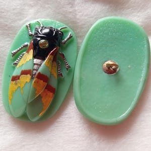 May include: Two-piece set of vintage-style buttons. One button features a detailed insect design with a black head, silver legs, and wings in shades of yellow, red, and green. The other button is a solid light green oval with a gold-colored shank.