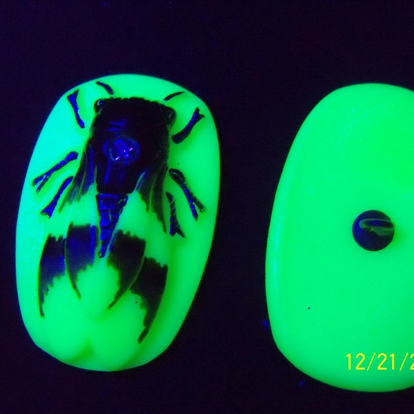 Czech Vaseline Glass Button( 1 PC ) Collectable Cicada  41 mm UV Cic 06