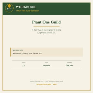 May include: A digital workbook titled A Fruit Tree Guild Workbook, Plant One Guild. It includes 13 pages, a beginner level, and covers one tree. The text reads: A fruit tree in mown grass is losing a fight you cannot see. You finish with a complete planting plan for one tree.