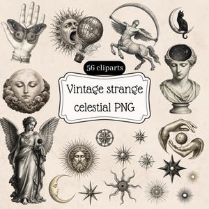 Peut inclure: Une collection d'illustrations en noir et blanc avec des motifs célestes et mythologiques, incluant une main avec un papillon, un soleil, un centaure, un chat sur une lune, un buste, un ange et des étoiles. Le texte indique 56 cliparts Vintage strange celestial PNG.