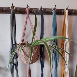 May include: A set of six macrame plant hangers in various colours, including grey, pink, blue, white, and yellow. The hangers are made of cotton rope and have a wooden ring at the top. A green plant is hanging in one of the hangers.