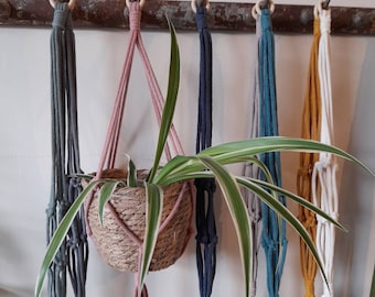 May include: A set of six macrame plant hangers in various colors, including gray, pink, blue, white, and yellow. The hangers are made of cotton rope and have a wooden ring at the top. A green plant is hanging in one of the hangers.