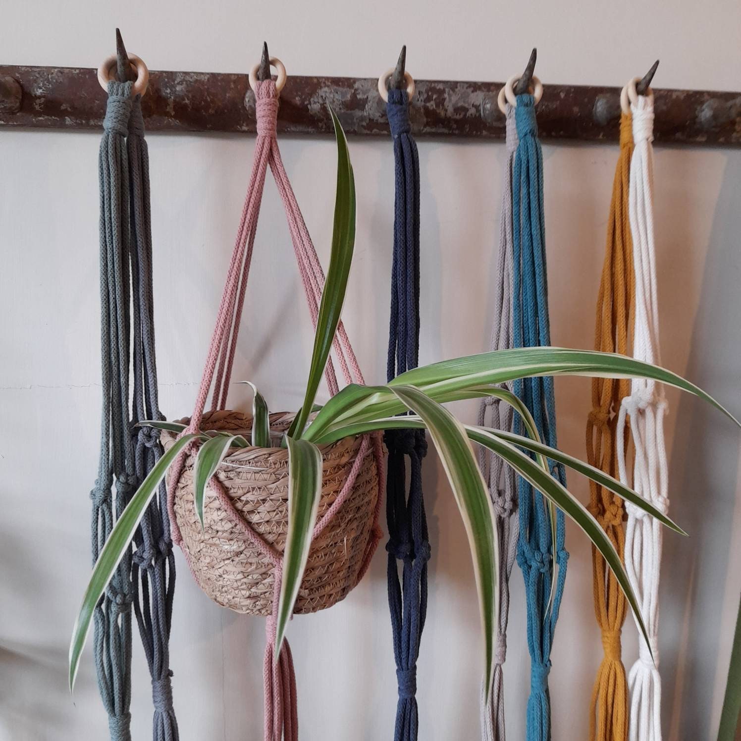 UPDATED DESIGN Short and simple macrame plant hanger - houseplant bot…