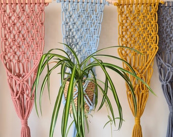 macrame wall plant hanger - houseplant botanical style hanger