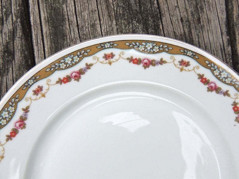 Fine Bavarian China - VC326 Set of 2 Salad Plates White China with Rose Floral Swag Pattern Eamag The Moran