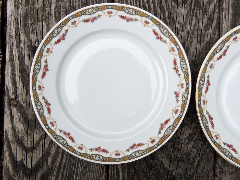 Fine Bavarian China - VC326 Set of 2 Salad Plates White China with Rose Floral Swag Pattern Eamag The Moran