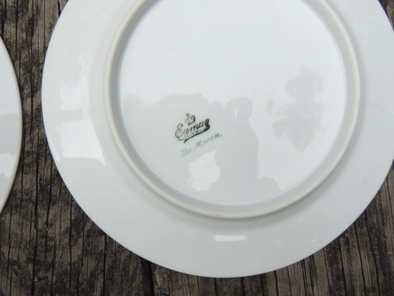Fine Bavarian China - VC326 Set of 2 Salad Plates White China with Rose Floral Swag Pattern Eamag The Moran