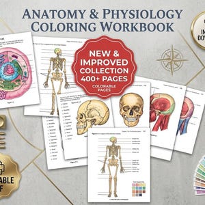 May include: Anatomy and Physiology Coloring Workbook featuring over 400 pages of diagrams including a generalized cell, human skeleton, and skull. The collection includes printable PDF pages with anatomical labels, a color key, and a gold instant download badge.