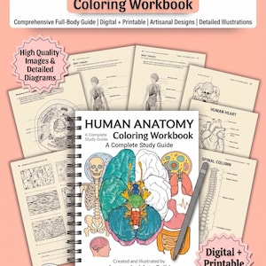 Può includere: Un quaderno da colorare di anatomia umana con rilegatura a spirale e una copertina che mostra un'illustrazione colorata del cervello, uno scheletro e organi interni. Il quaderno è circondato da diverse pagine di diagrammi e una matita grigia.