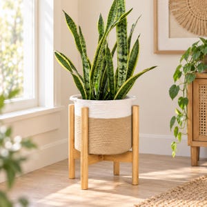 May include: A tall snake plant with green and yellow variegated leaves potted in a two-toned white and tan woven rope basket. The basket rests securely within a light-colored wooden stand featuring four vertical legs and a cross-brace base.