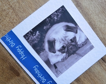 Pug dog Birthday card