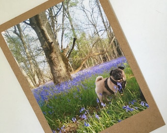 Bluebell Pug card for any occasion