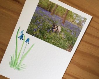 Bluebell Pug card for any occasion